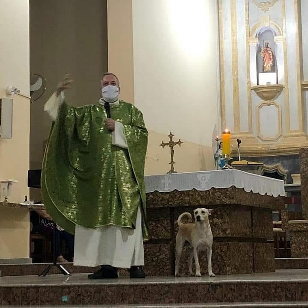 Бразильський священник став захисником бездомних собак і допомагає їм знайти нові домівки - фото 2