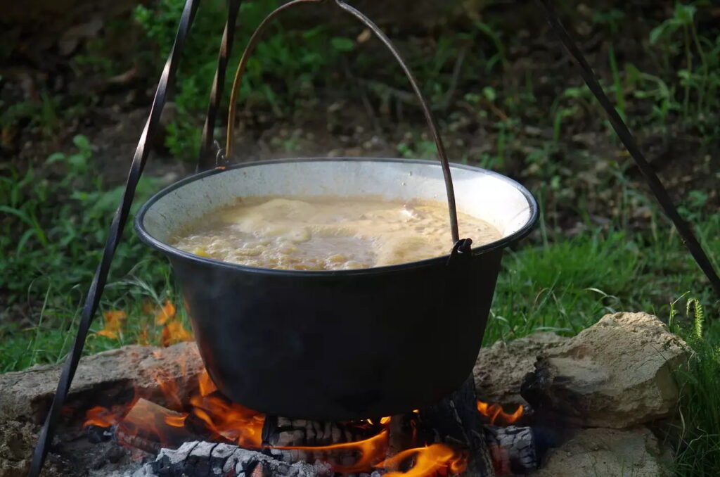 Пікнік в Києві: добірка локацій для чаювання на карематах та BBQ-зони з альтанками - фото 3