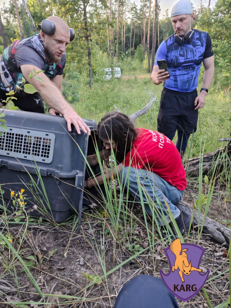 У Києві хлопці врятували червонокнижного орлана білохвоста - фото 2