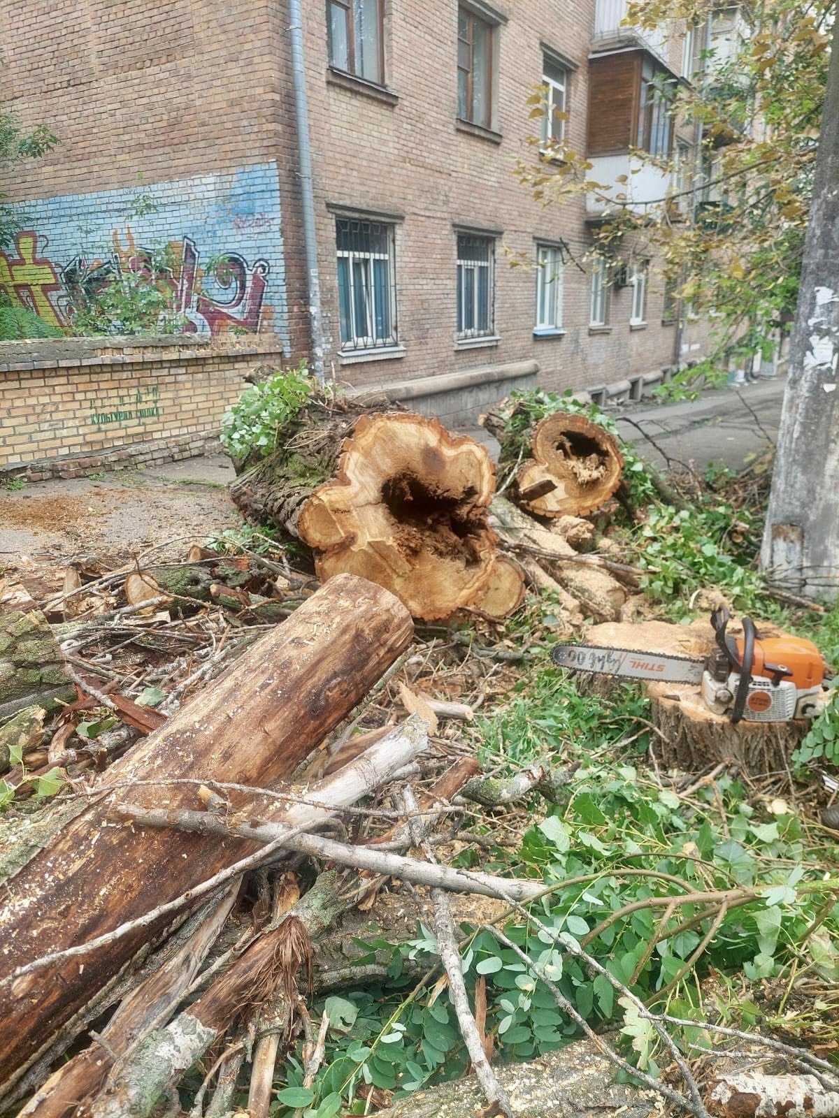 У Солом’янському районі Києва ліквідували аварійні дерева на вулиці Богданівській