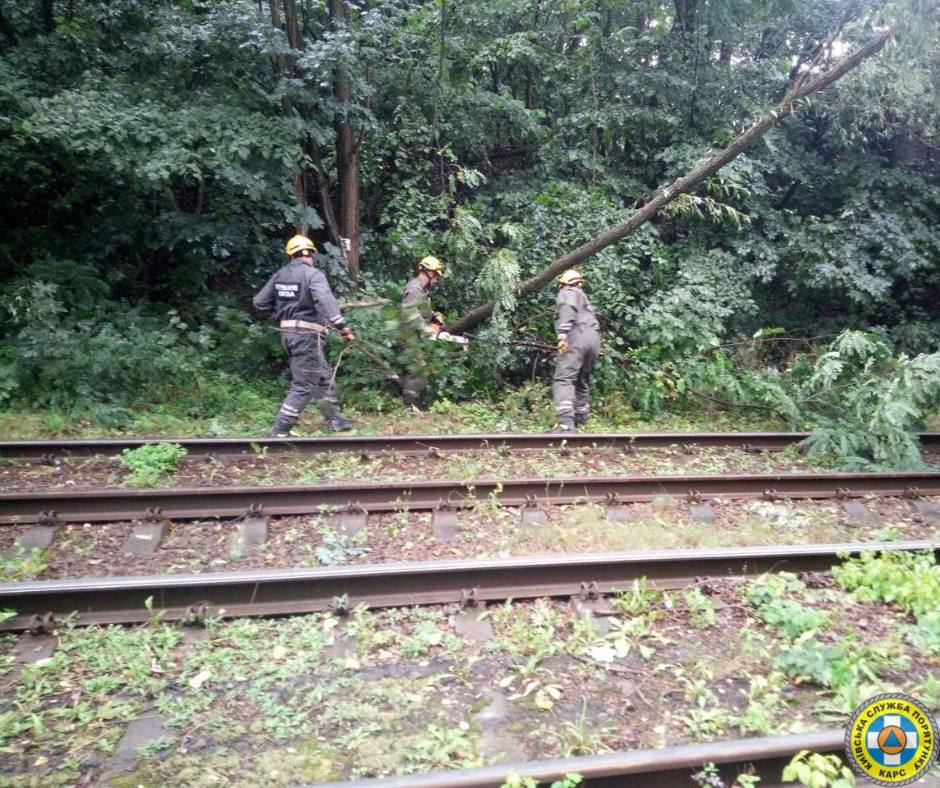 У Києві наразі зафіксовано 76 повалених та 86 пошкоджених дерев унаслідок сильної зливи - фото 4