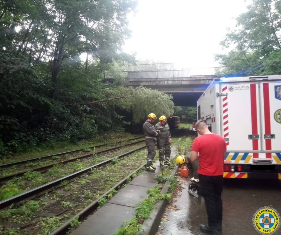 У Києві наразі зафіксовано 76 повалених та 86 пошкоджених дерев унаслідок сильної зливи - фото 7