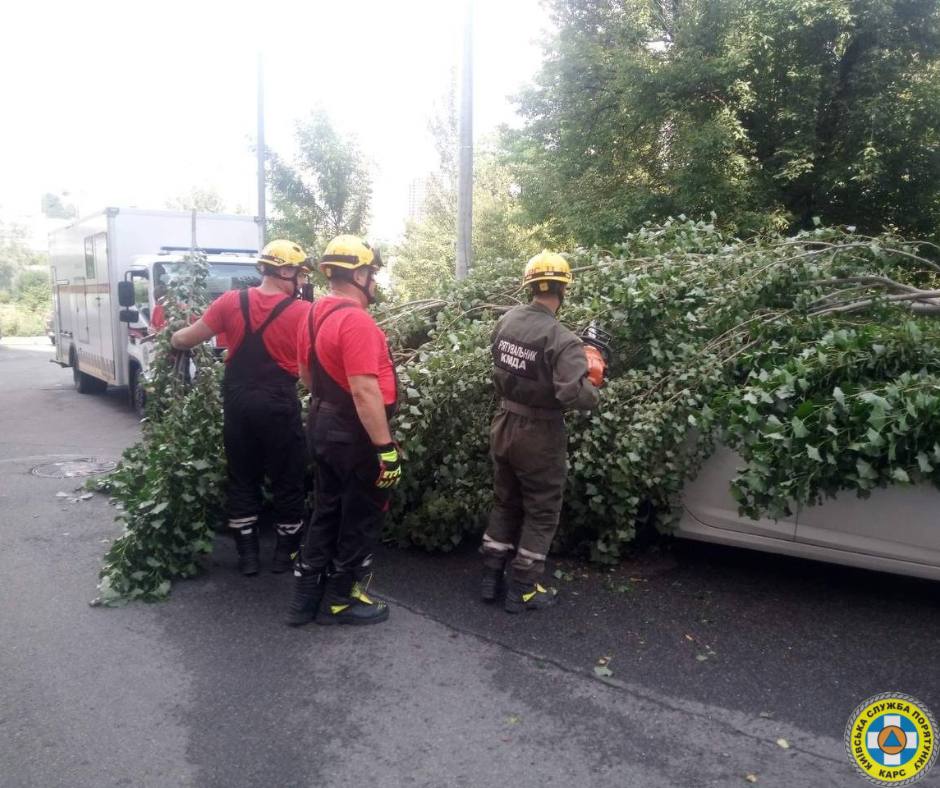 У Києві наразі зафіксовано 76 повалених та 86 пошкоджених дерев унаслідок сильної зливи - фото 8