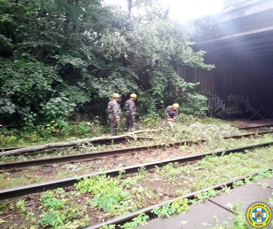 У Києві наразі зафіксовано 76 повалених та 86 пошкоджених дерев унаслідок сильної зливи