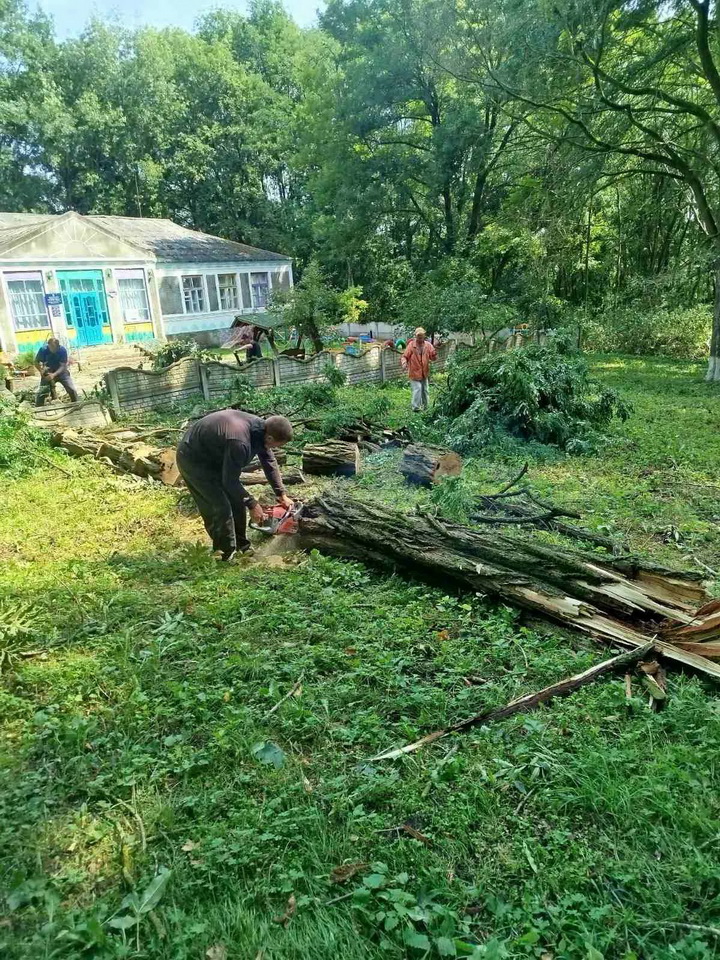 У селі на Вінниччині негода повалила дерева на території дитячого садочка - фото 2