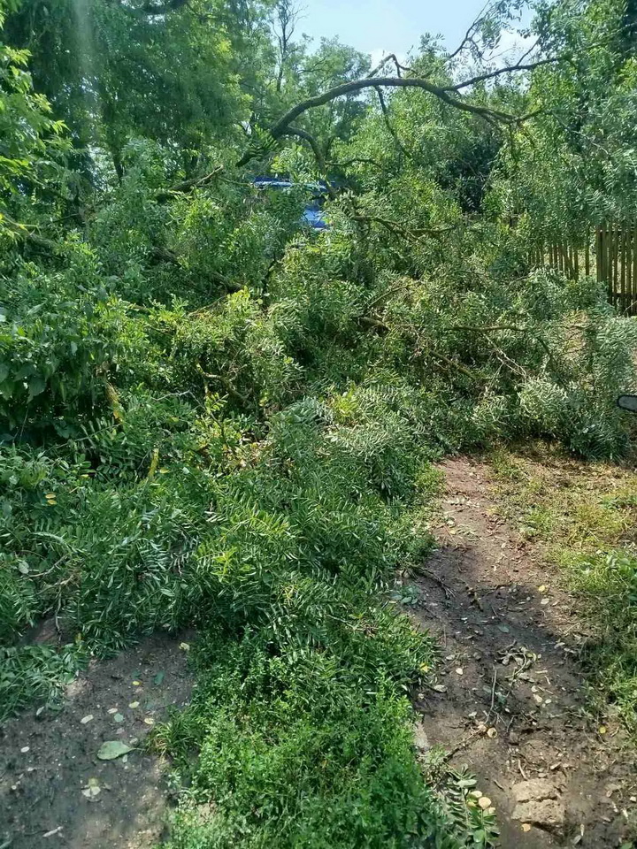 У селі на Вінниччині негода повалила дерева на території дитячого садочка - фото 9