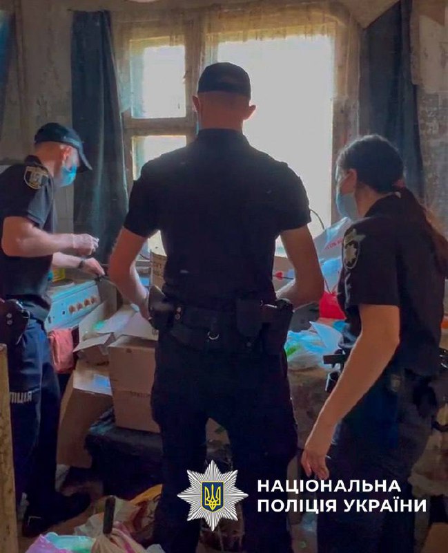 У Києві врятували 9 котів, які близько тижня провели у зачиненій квартирі після смерті господарки