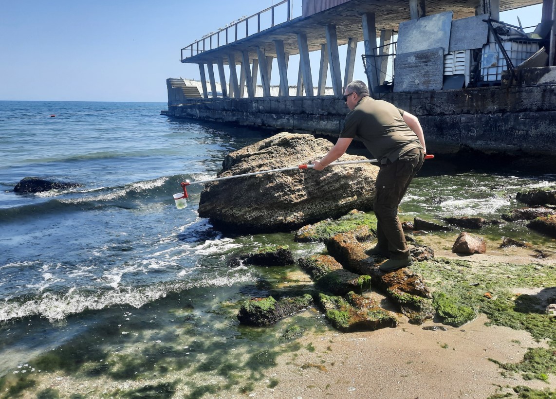 Пляжі Одеси потерпають від водоростей. Екологи проводять перевірку