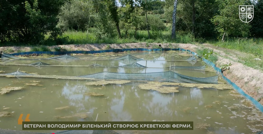 Колишній десантник з Вінниччини вирощує креветки та раки на власній аквафермі