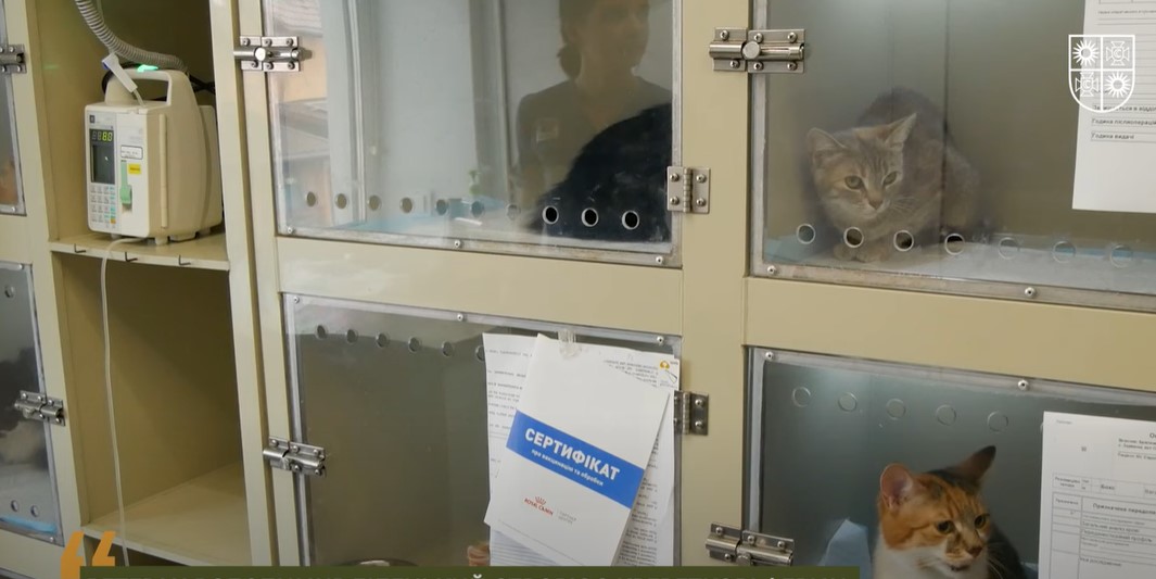 Колишній десантник з Вінниччини вирощує креветки та раки на власній аквафермі - фото 5