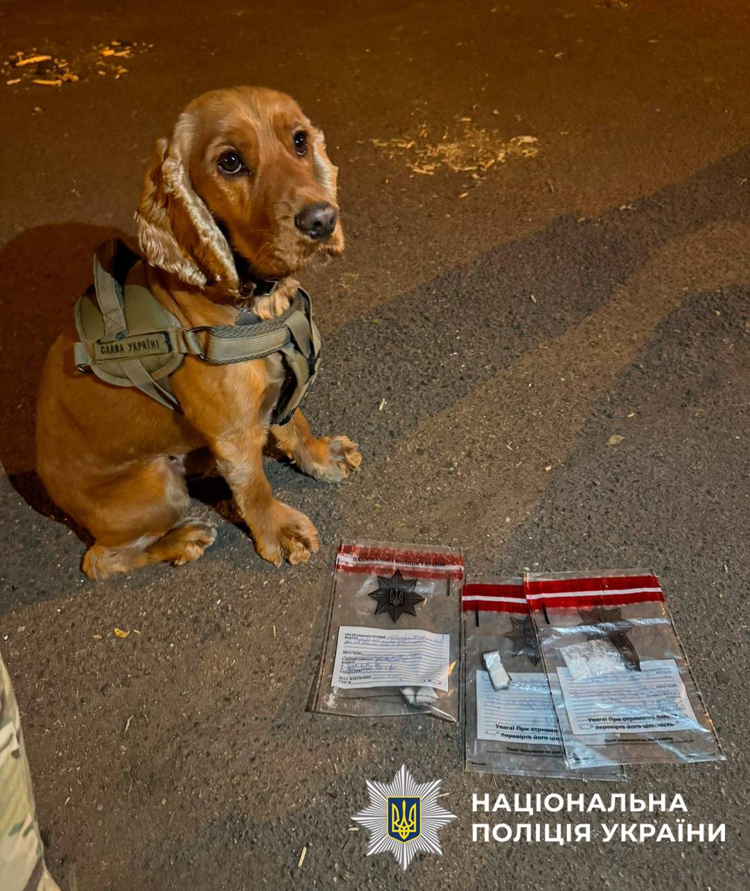У Києві службові собаки викрили студента-наркоторговця - фото 3