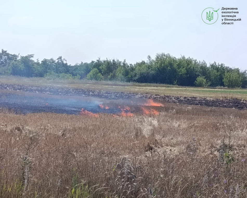 На Вінниччині жінка випалювала стерню на полі