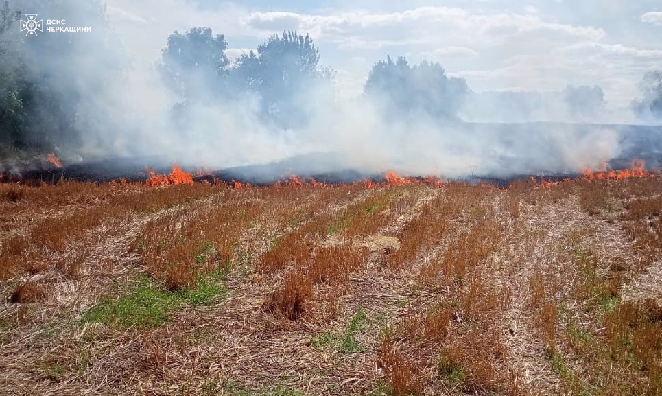 Черкаські рятувальники за добу ліквідували 5 пожеж