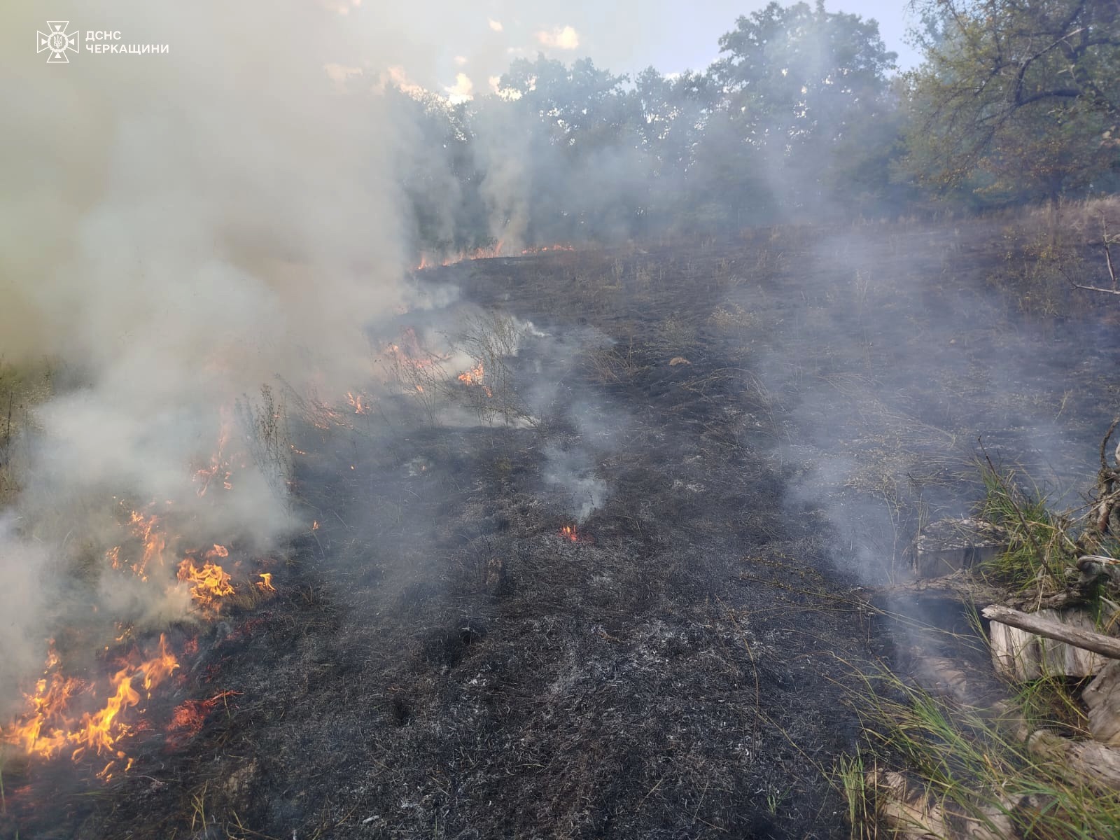 Черкаські рятувальники за добу ліквідували 5 пожеж - фото 2