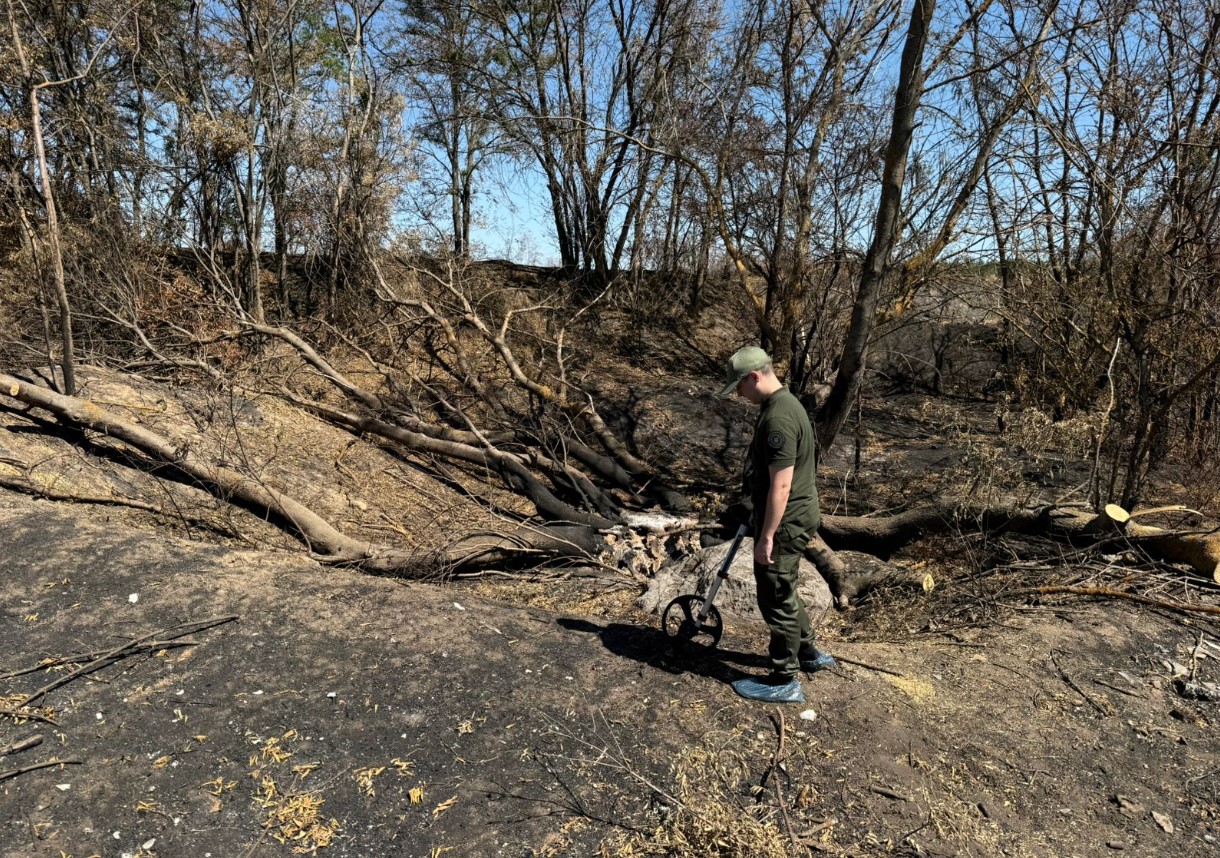 Бузковий гай в Одеській області повністю знищила пожежа