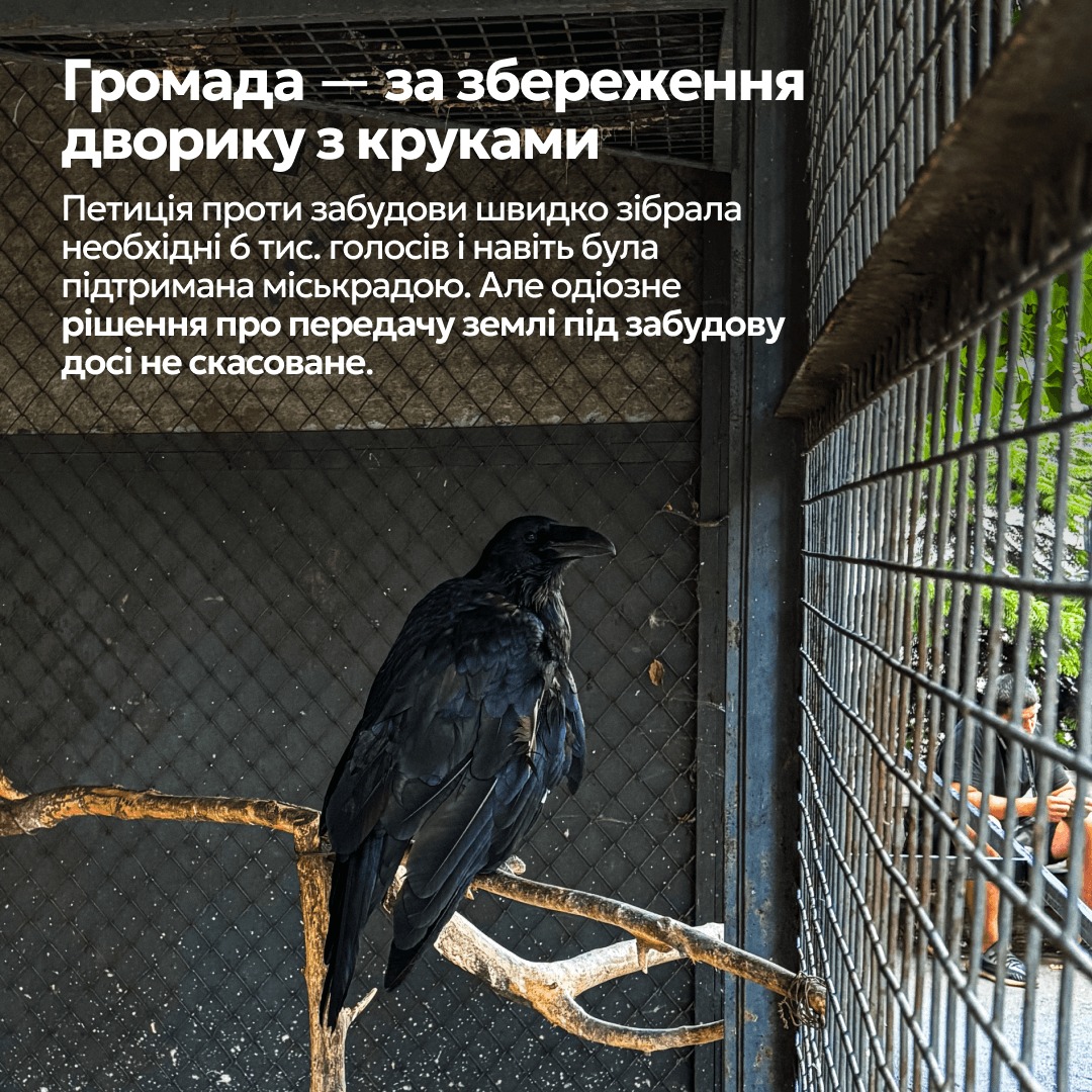 Дворик з круками: київський суд прийняв до розгляду позов проти забудови історичного місця - фото 4
