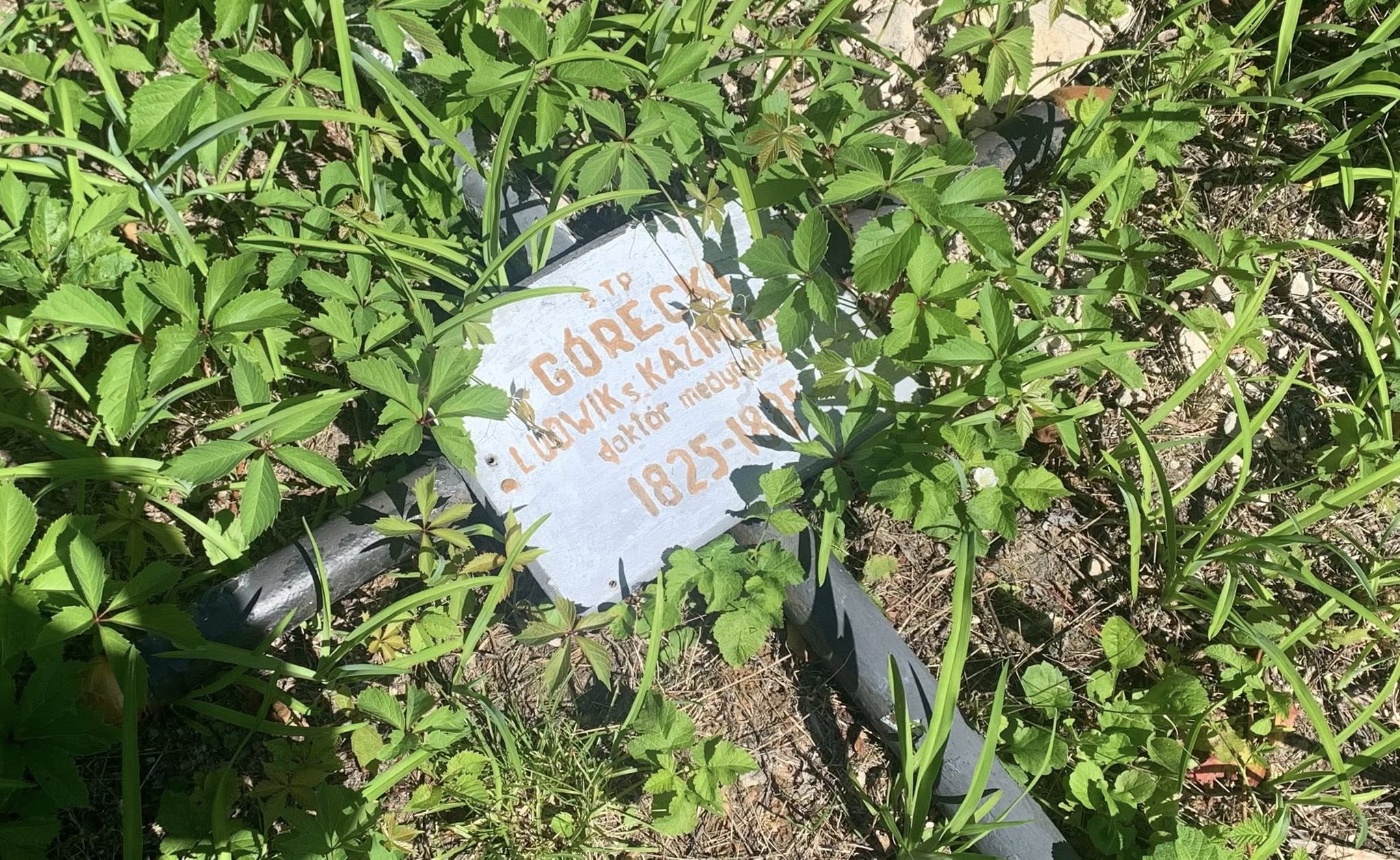 На Байковому кладовищі понівечили могилу відомого доктора медицини - фото 3