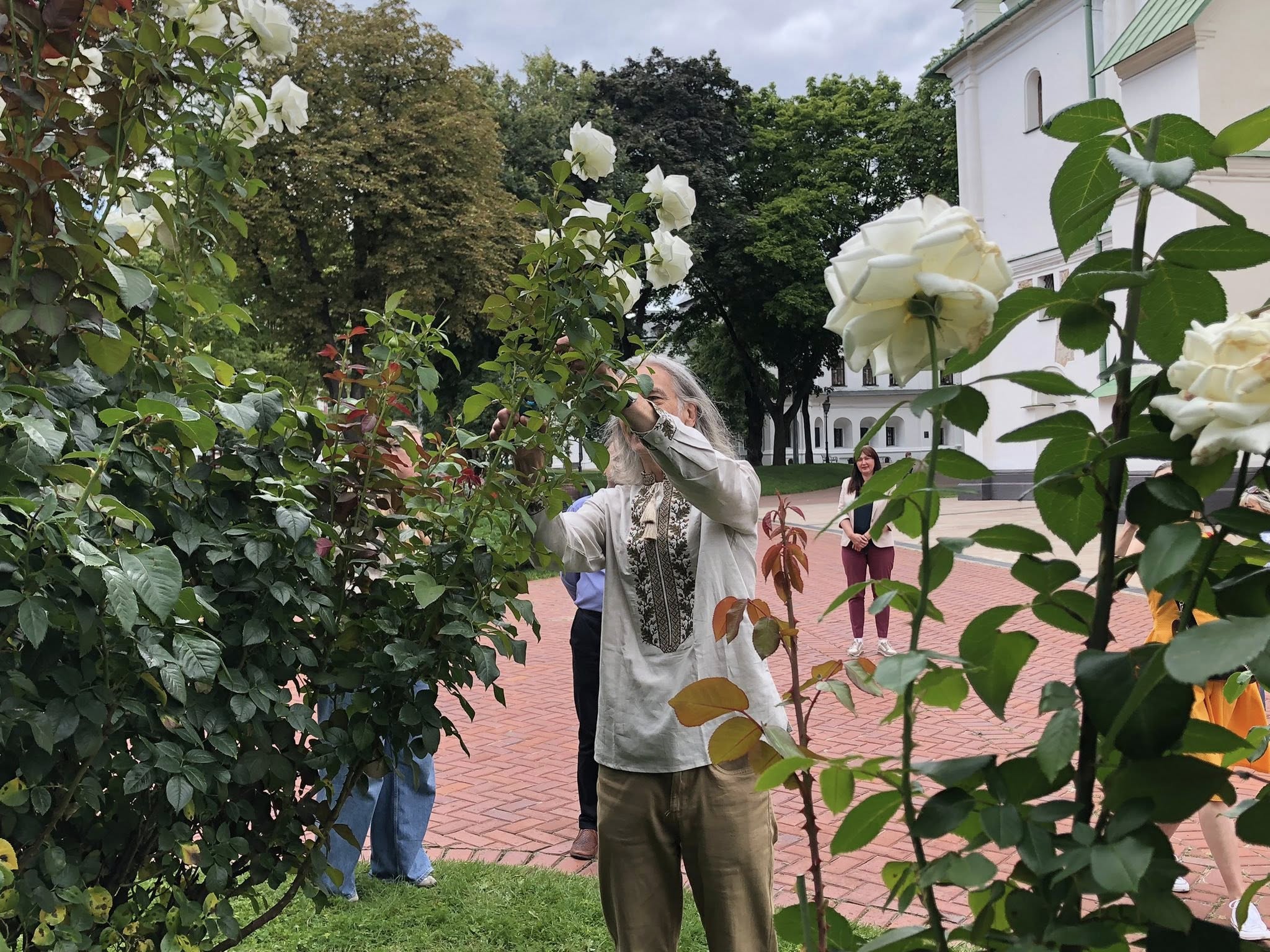 Троянда з Києва поповнить колекцію британського музею Garden Museum