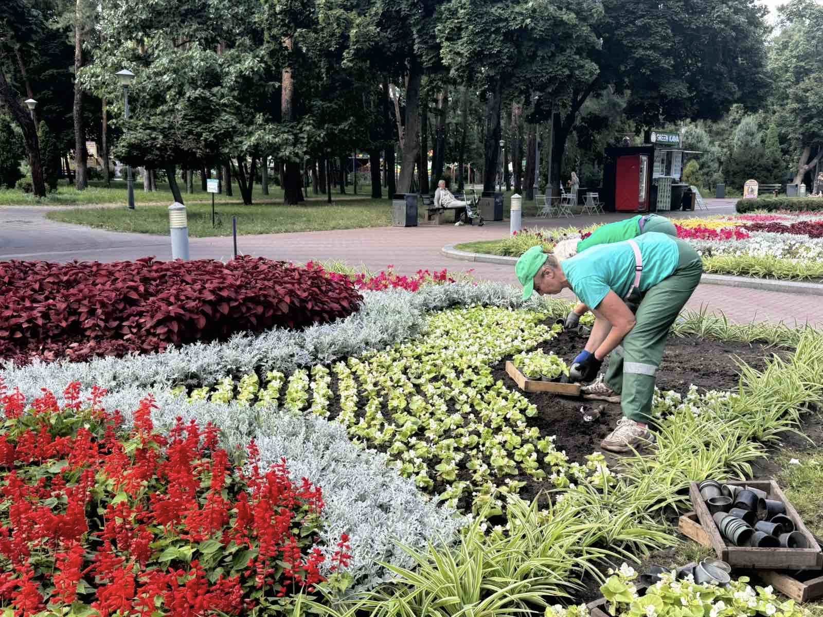 На Трухановому острові полагодили велетенську гойдалку - фото 2