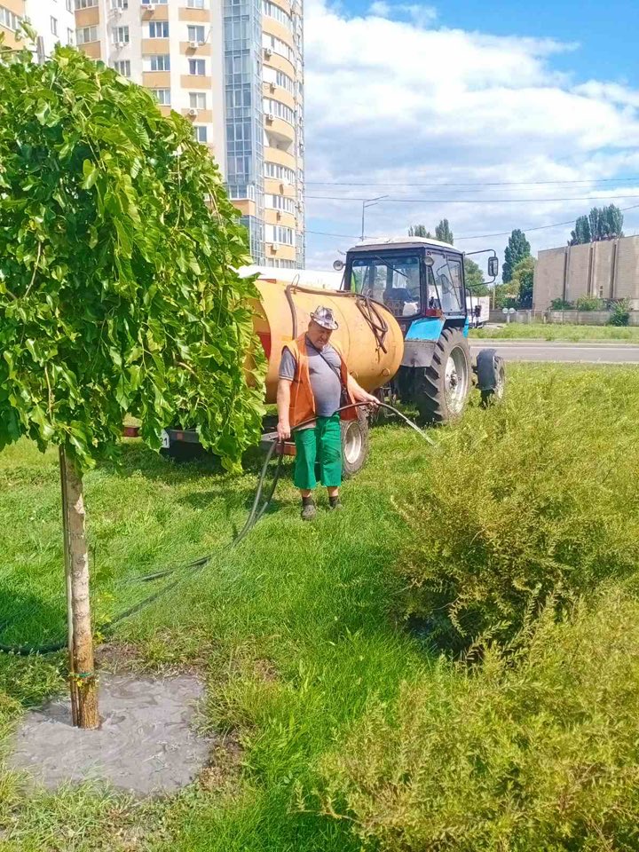 На Трухановому острові полагодили велетенську гойдалку - фото 5