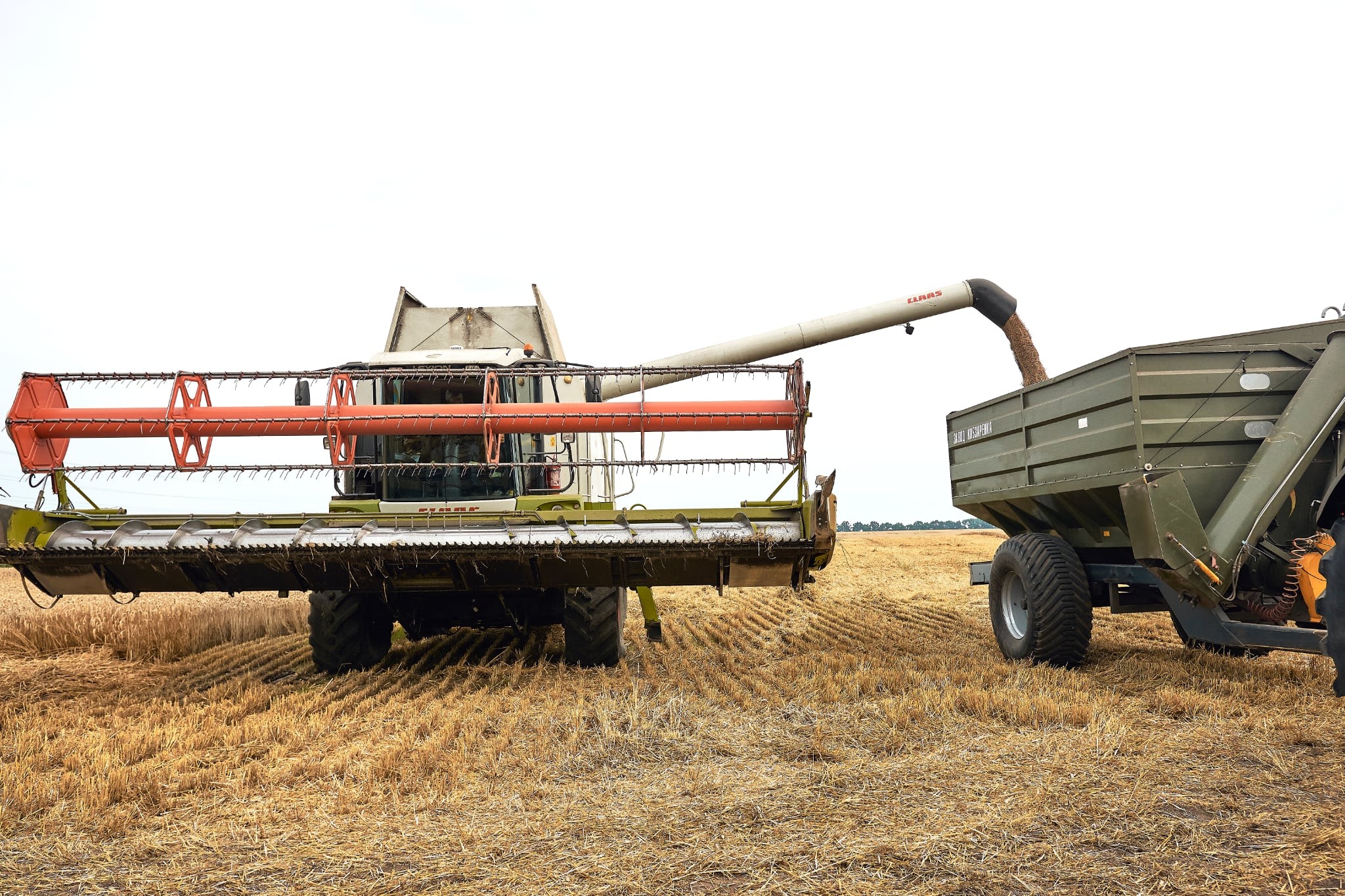 Аграрії Черкащини вже зібрали ранні зернові та зернобобові - фото 3