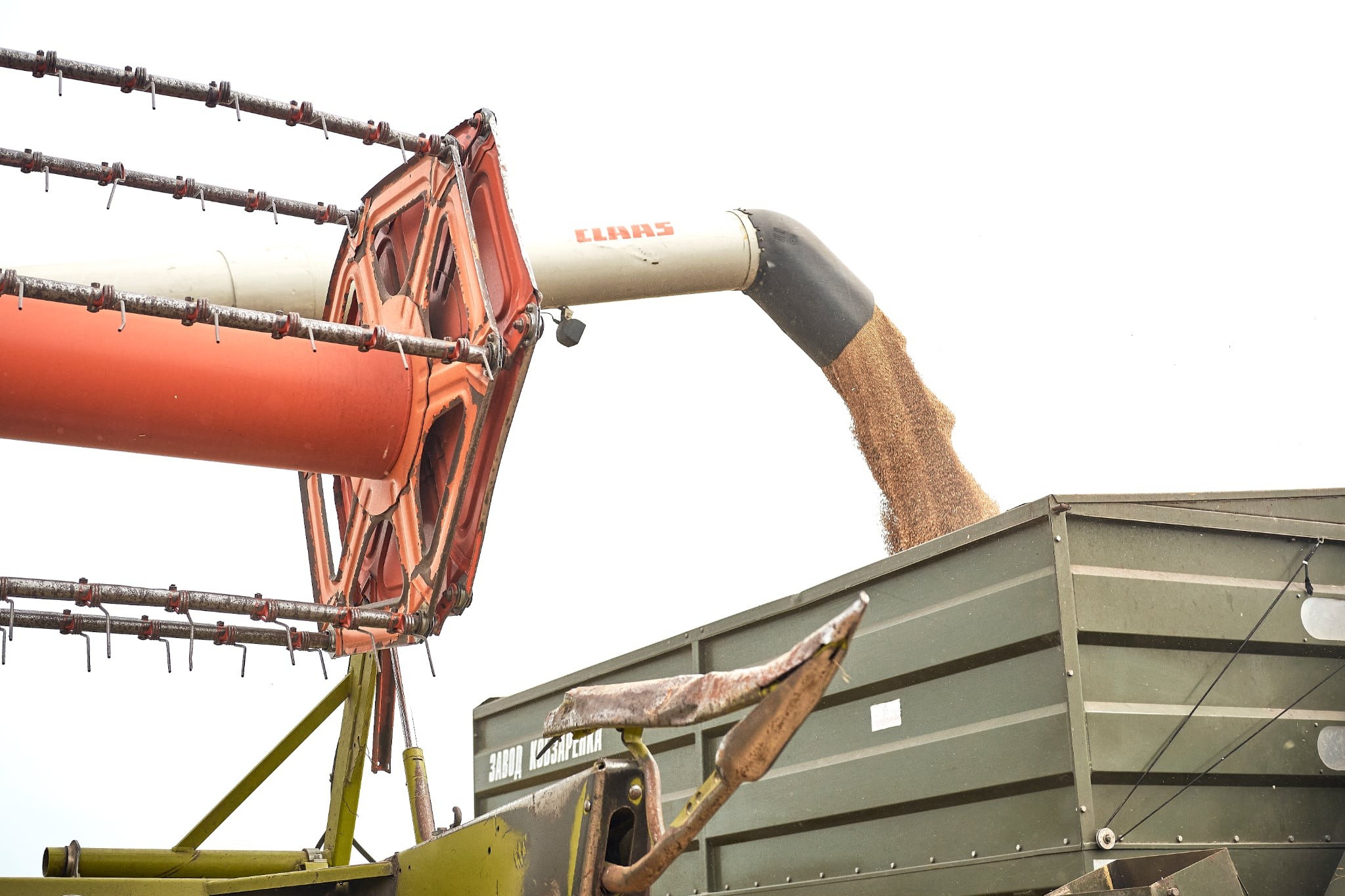 Аграрії Черкащини вже зібрали ранні зернові та зернобобові