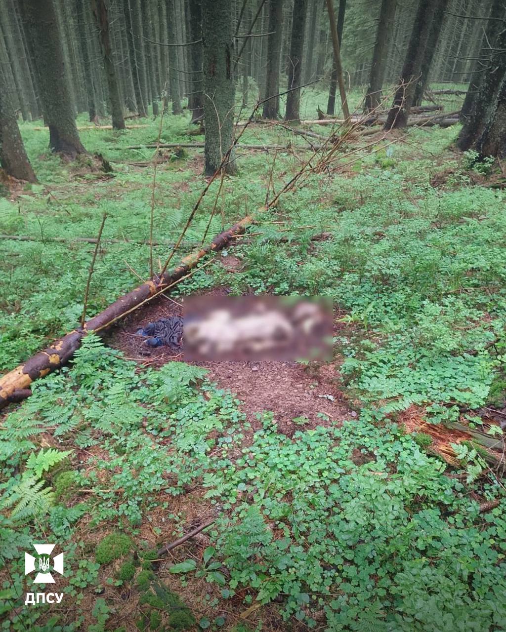 У Карпатах прикордонники виявили рештки двох людей