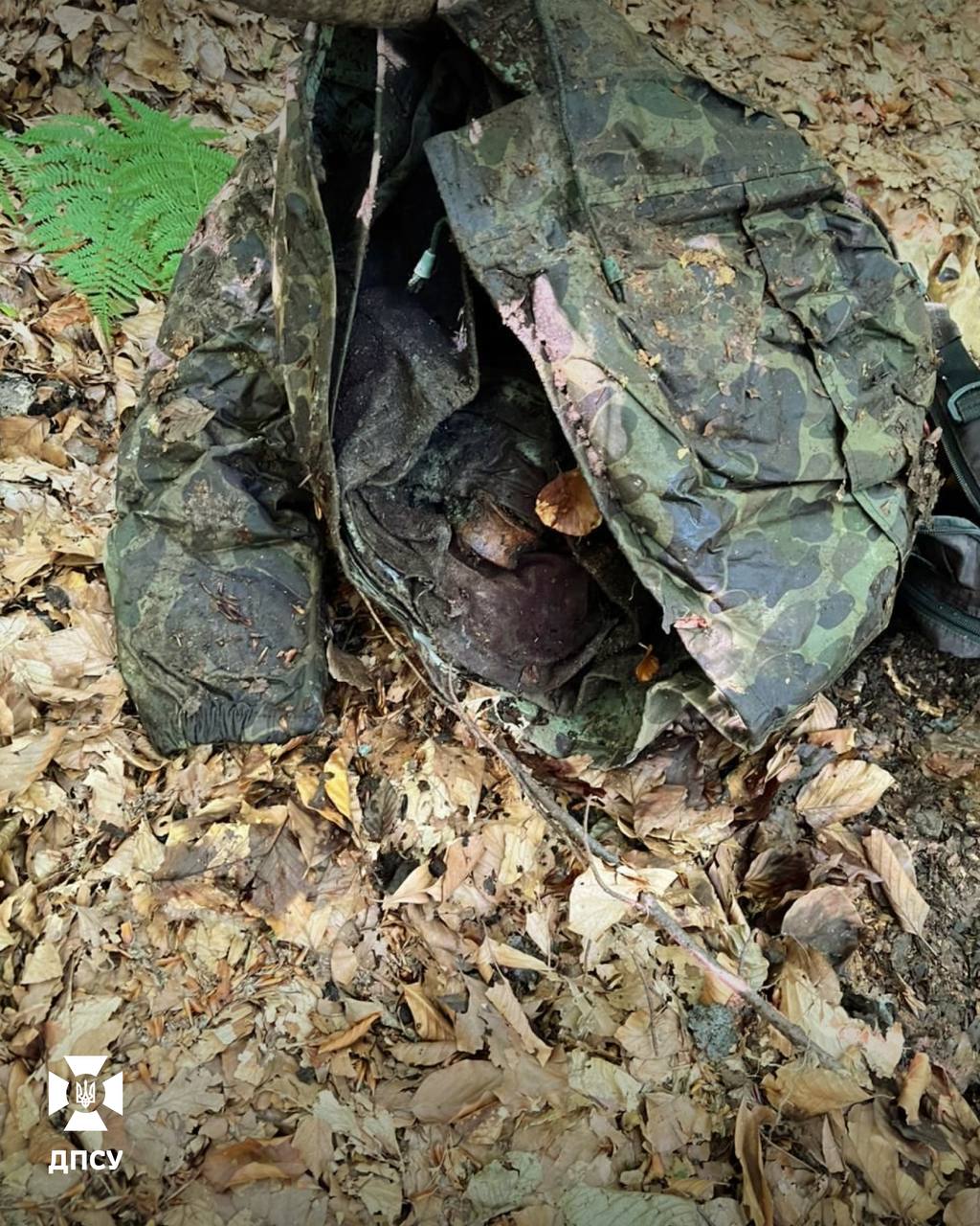 У Карпатах прикордонники виявили рештки двох людей - фото 3