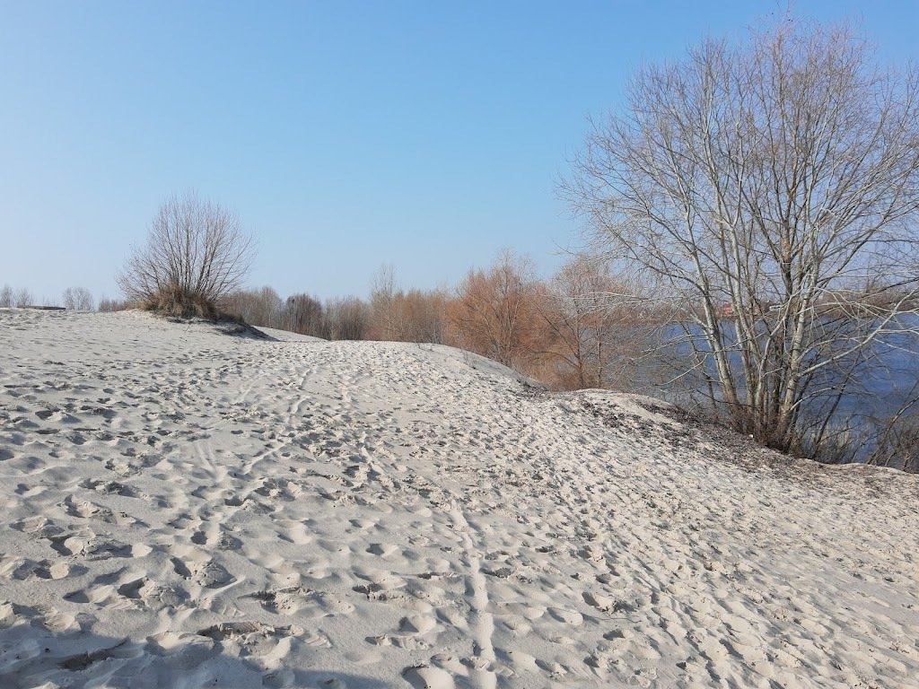 Київська пустеля: як дістатися піщаних пагорбів у столиці - фото 2