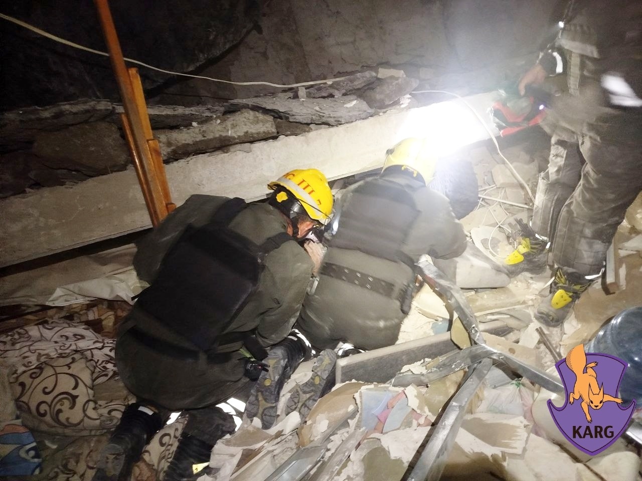 Рятувальники розповіли про порятунок людей та тварин у Києві - фото 7