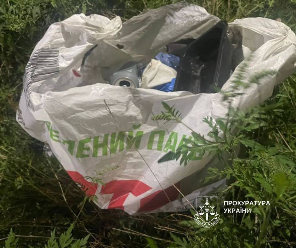 У Києві чоловік викинув цуценят стаффордширського тер’єра у смітник: одна тварина загинула