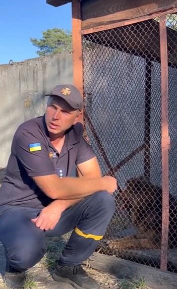 Собаку, яка втратила господаря під час атаки на Київ, прихистили рятувальники