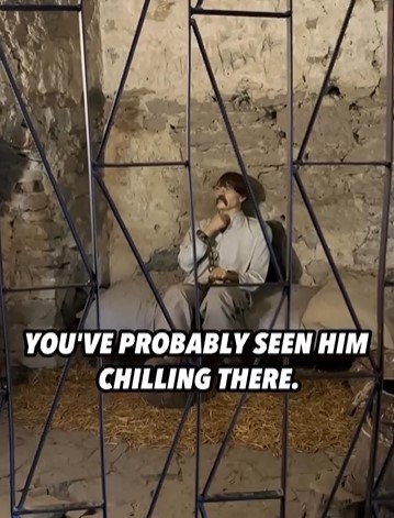 Музеї, солодощі та фонтан: як блогер з Каліфорнії подорожував Вінницею - фото 7