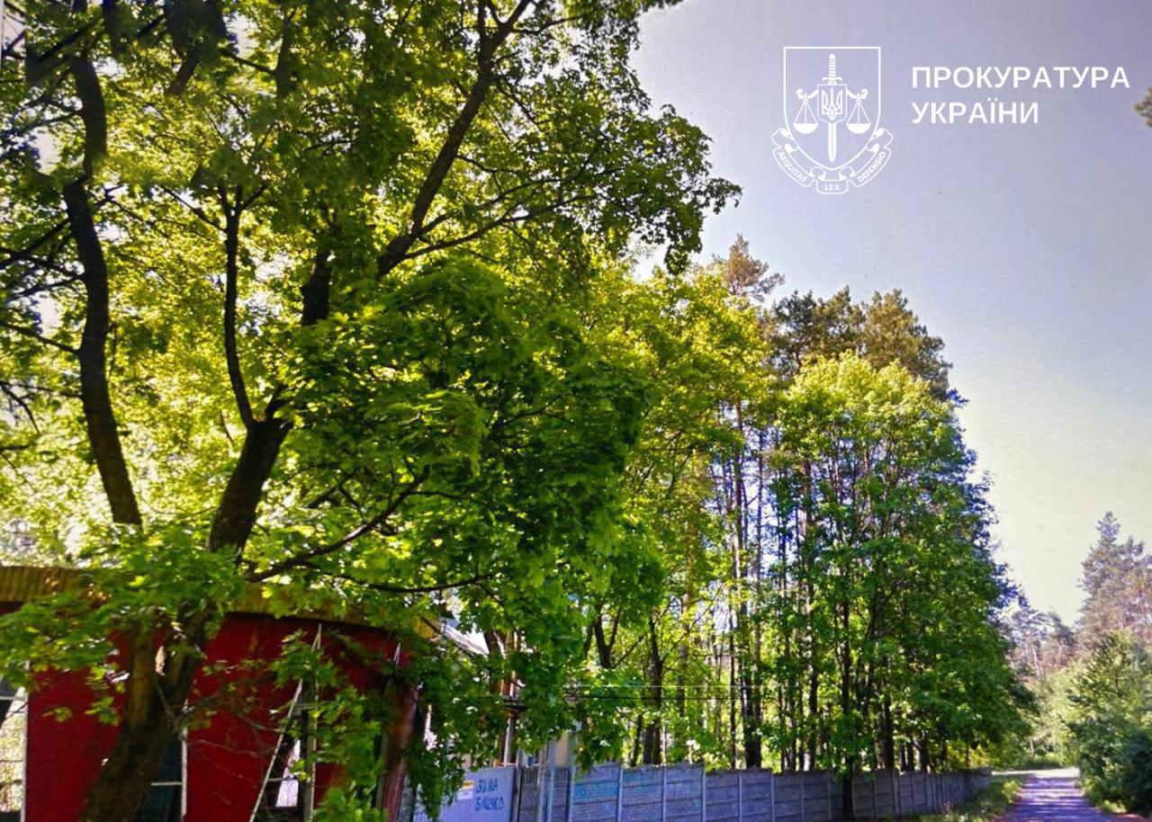 В столиці вдалося вберегти 16 гектарів лісу від незаконної забудови