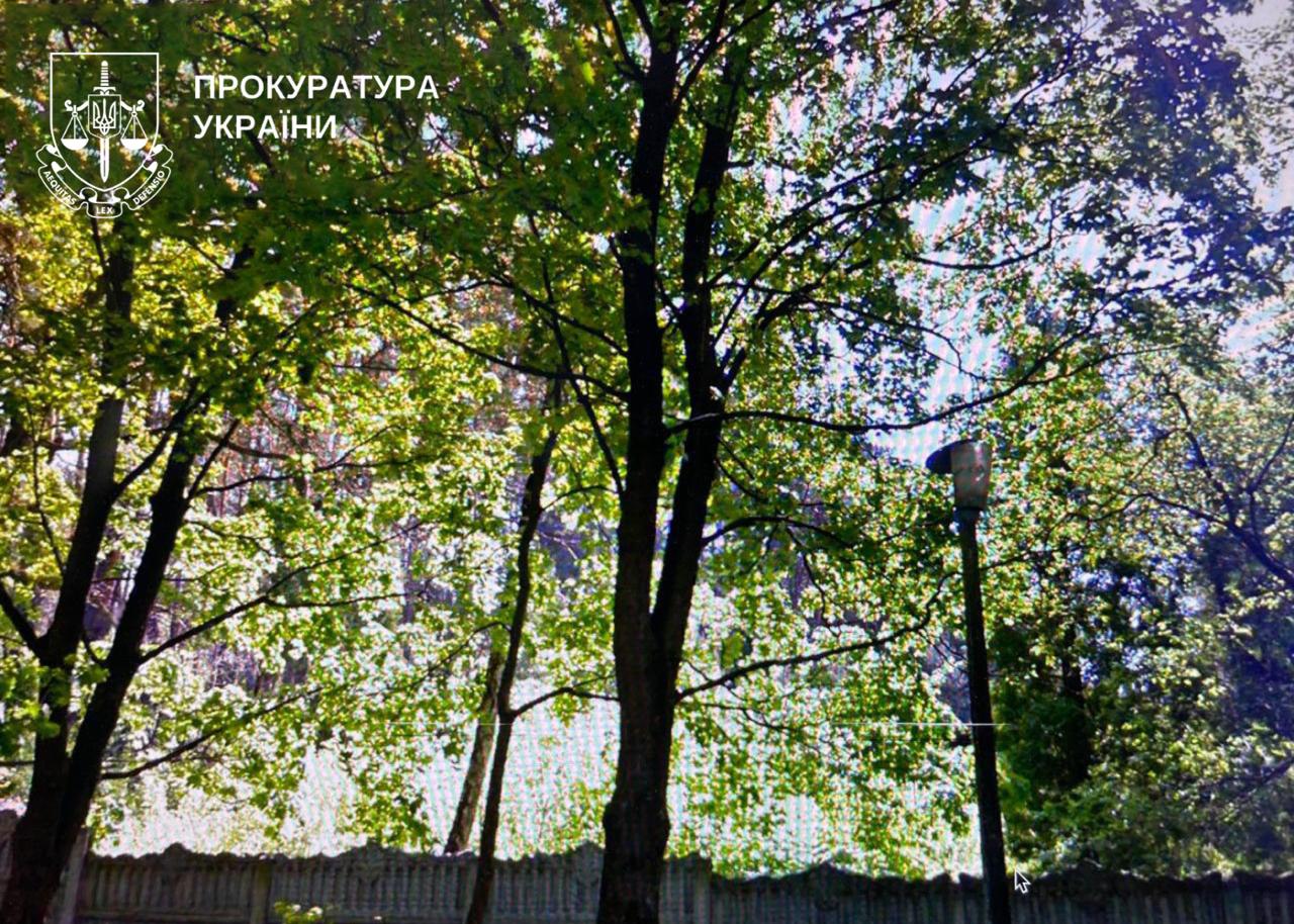 В столиці вдалося вберегти 16 гектарів лісу від незаконної забудови - фото 2