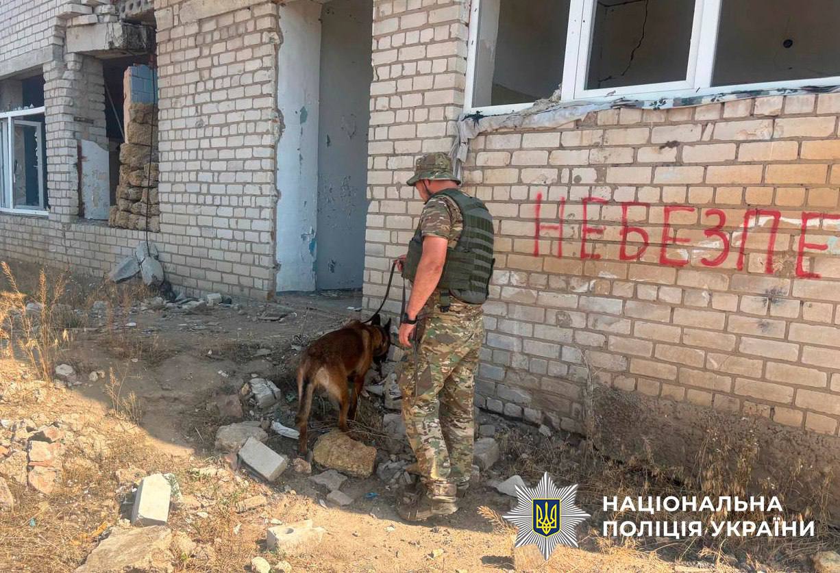 Кінологи поліції Києва та їх «хвостаті сапери» виявляють смертельні ворожі пастки на Херсонщині - фото 3