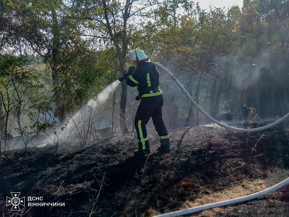 Чоловік отримав опіки через загоряння машини у Вінницькому районі - фото 4