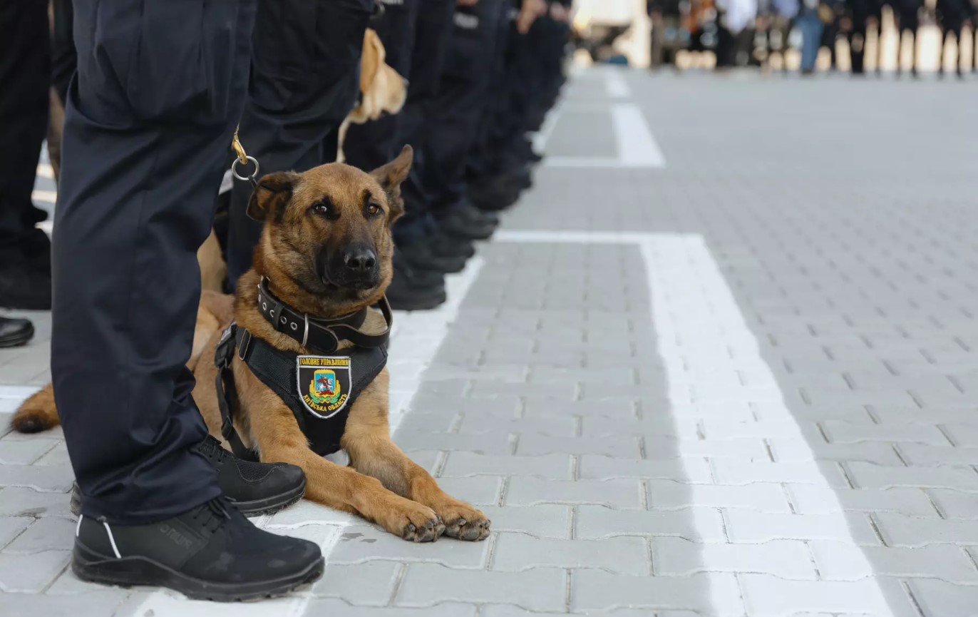 Новий кінологічний центр Нацполіції відкрили у Київській області. Відео - фото 3