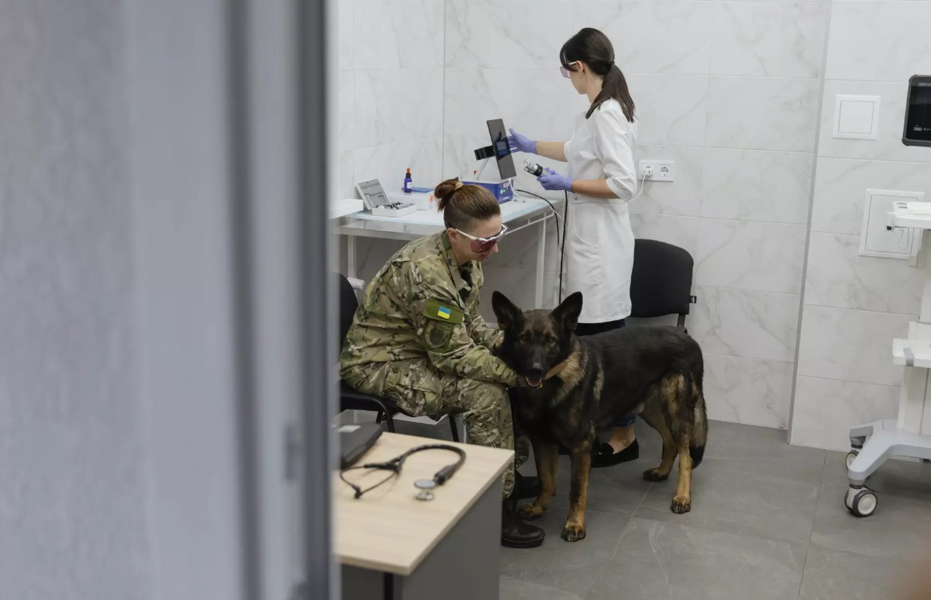 Новий кінологічний центр Нацполіції відкрили у Київській області. Відео - фото 6