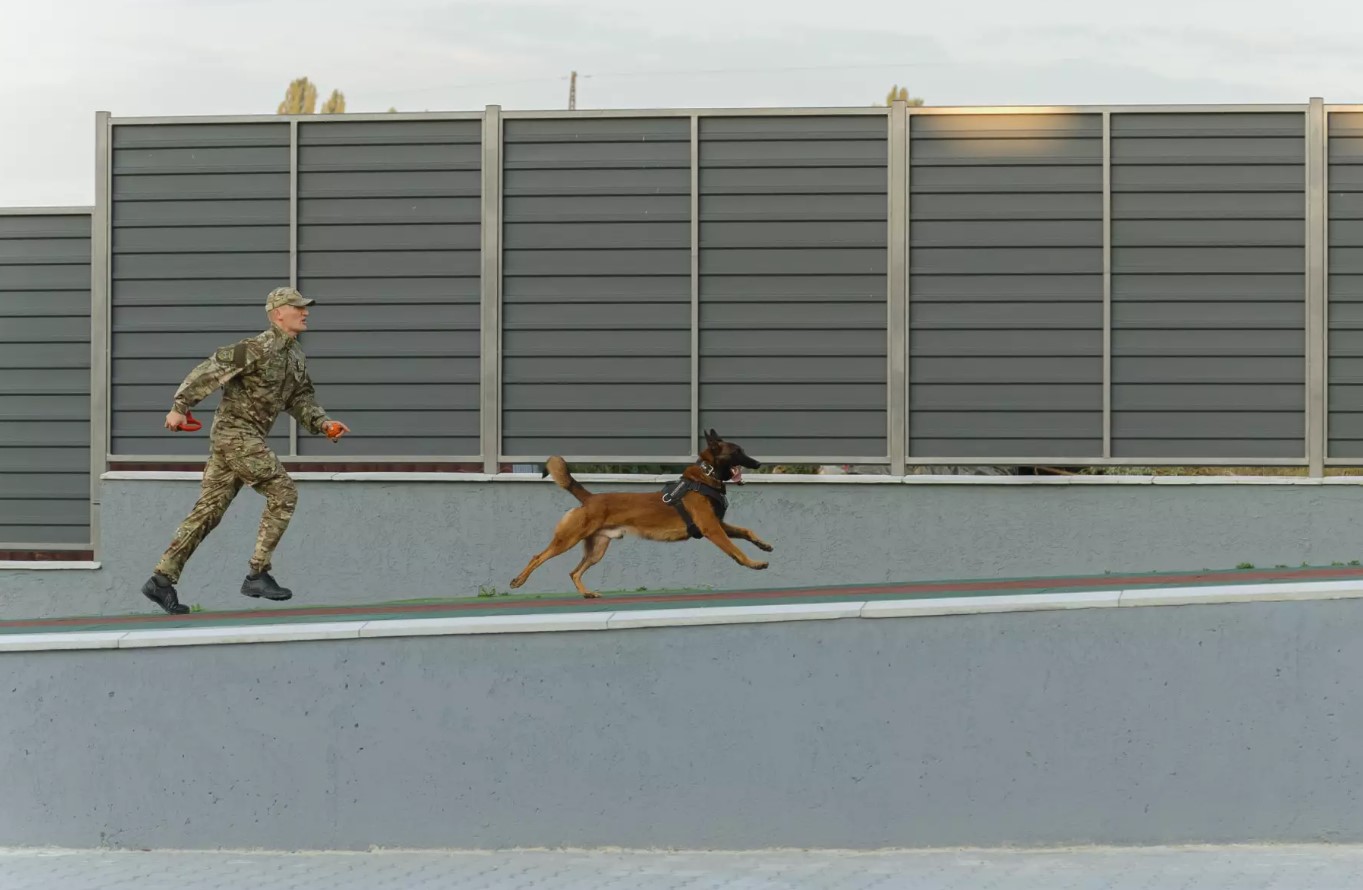 Новий кінологічний центр Нацполіції відкрили у Київській області. Відео - фото 7