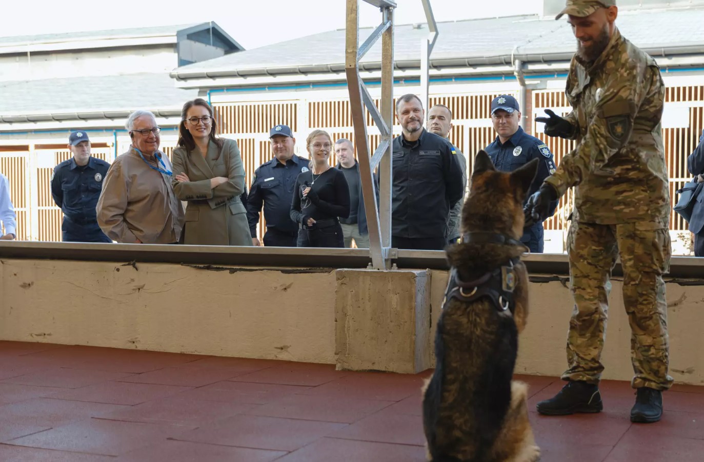 Новий кінологічний центр Нацполіції відкрили у Київській області. Відео - фото 8