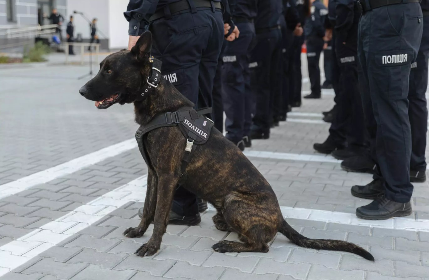 Новий кінологічний центр Нацполіції відкрили у Київській області. Відео - фото 9