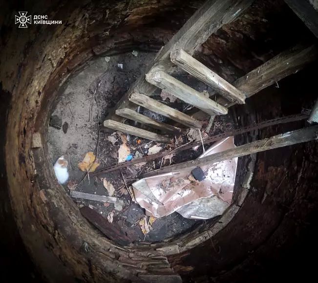 У Бучі з триметрового колодязя дістали кошеня