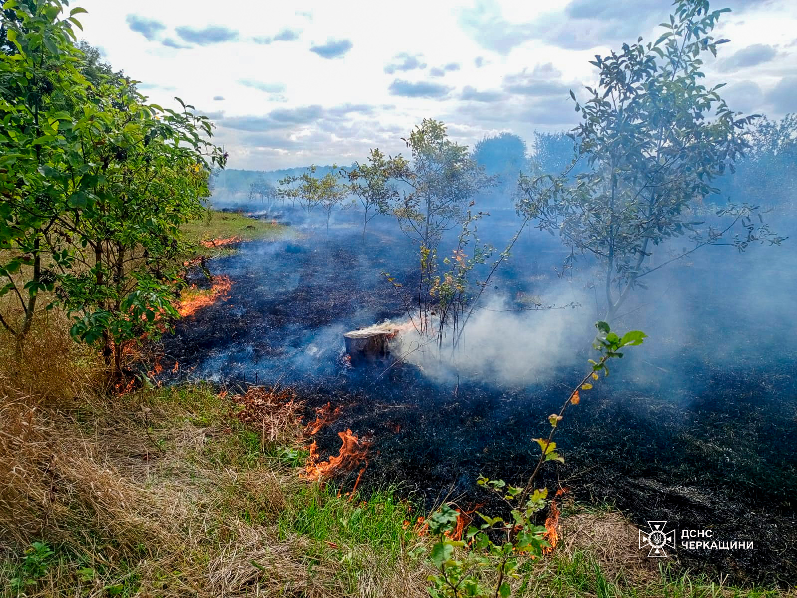 Рятувальники Черкащини ліквідовують пожежі на відкритих територіях - фото 2