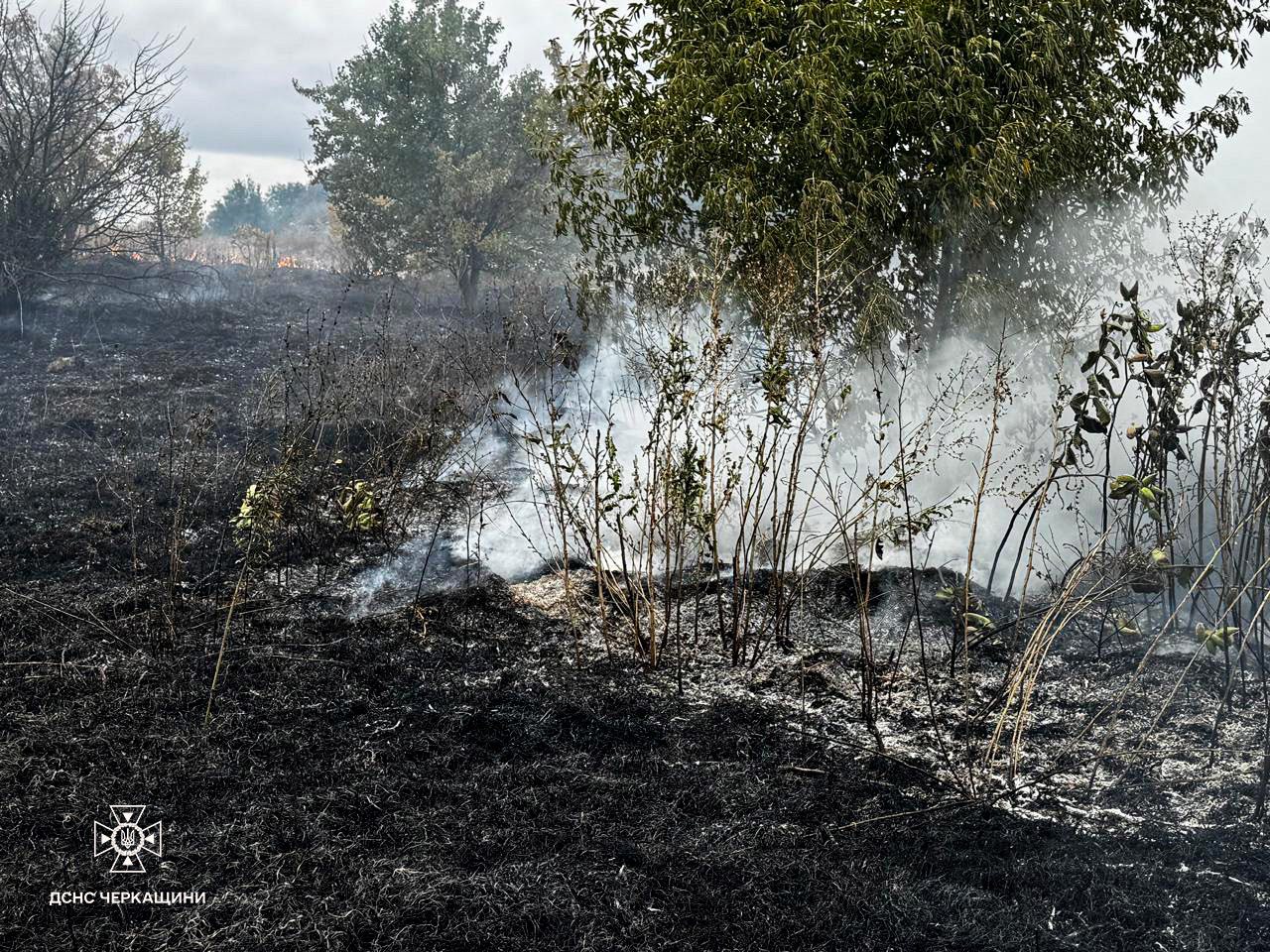 Пожежі на Черкащині: горіла трава та будинок