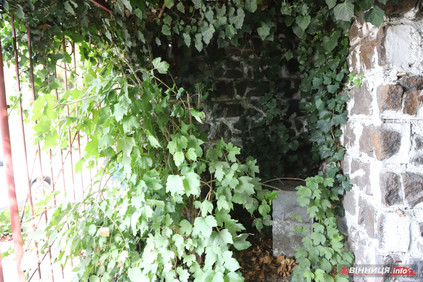 Колишній військовий став блогером щоб розвивати родинний бізнес - фото 15