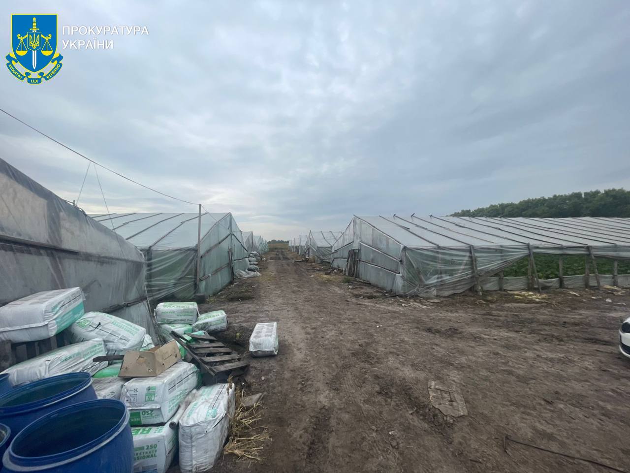 На Київщині викрили схему трудової експлуатації громадян Узбекистану