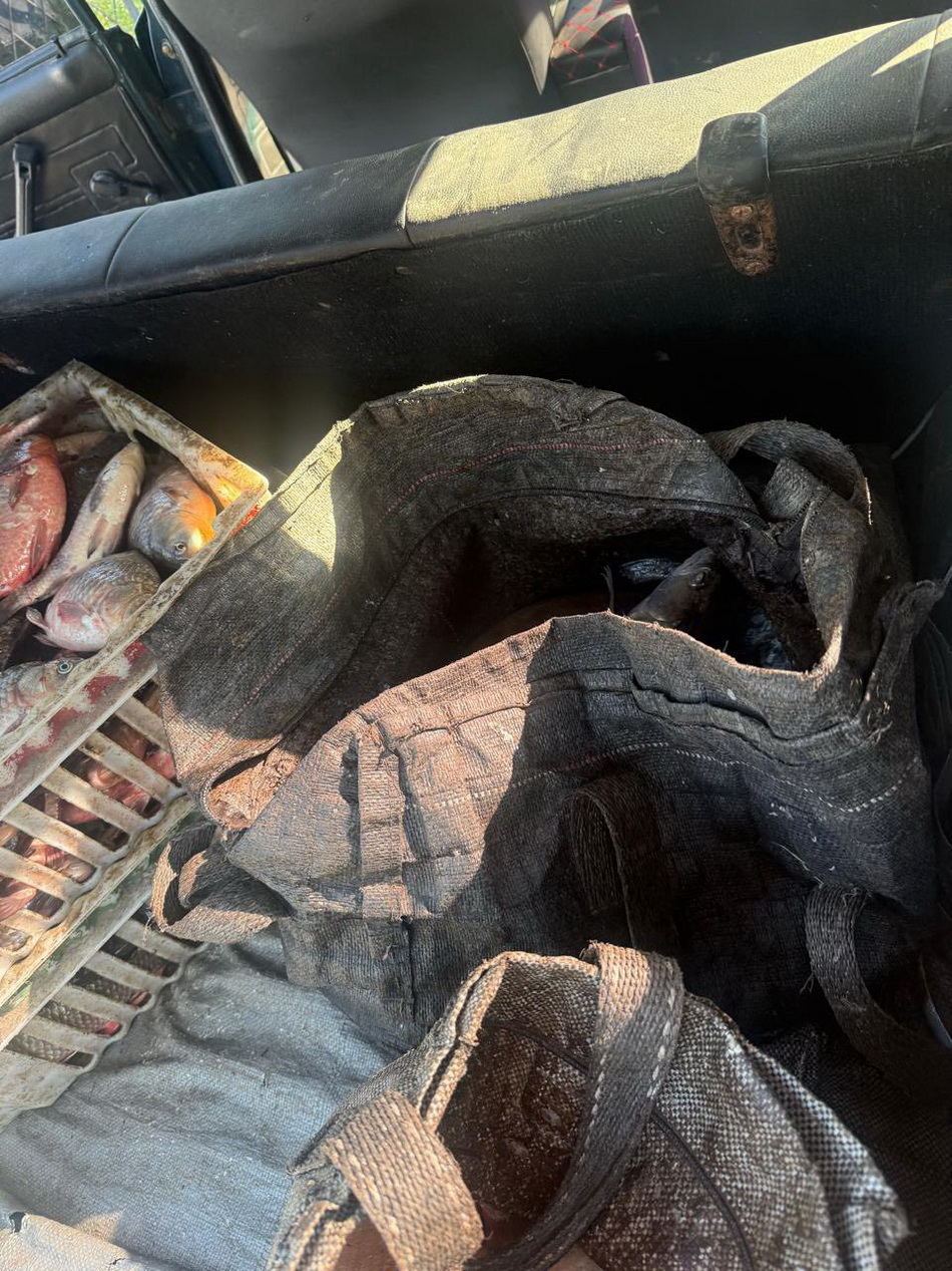 На Вінниччині чоловік наловив риби в Бузі на понад 277 тисяч гривень