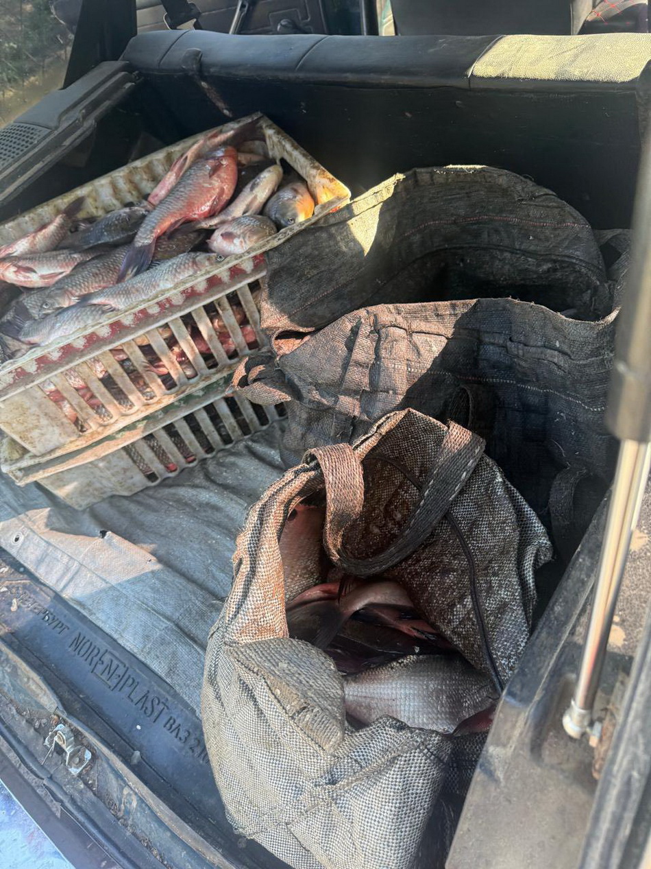 На Вінниччині чоловік наловив риби в Бузі на понад 277 тисяч гривень - фото 2