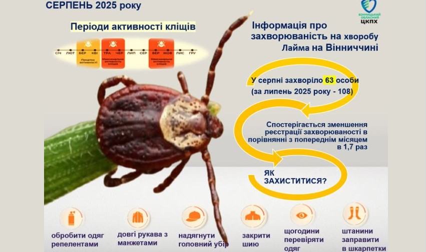 На Вінниччині 63 особи захворіли на хворобу Лайма через укуси кліщів